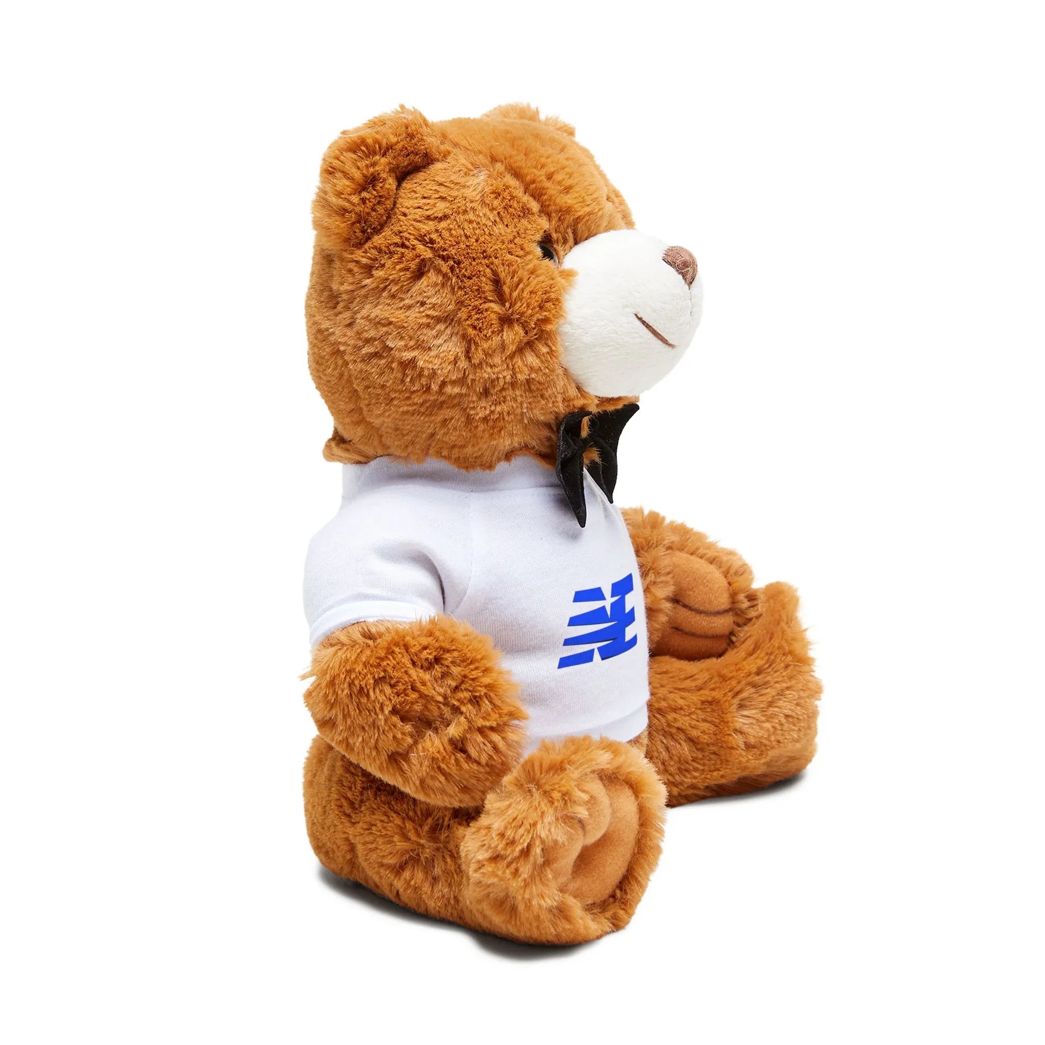 Brown plush teddy bear wearing white t-shirt with blue graphic, sitting on white background
